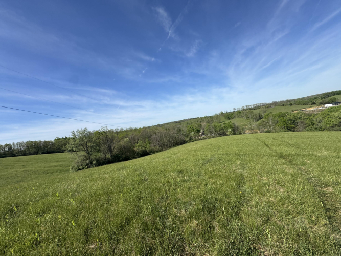 Listing Image 17