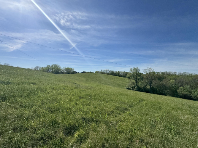 Listing Image 18