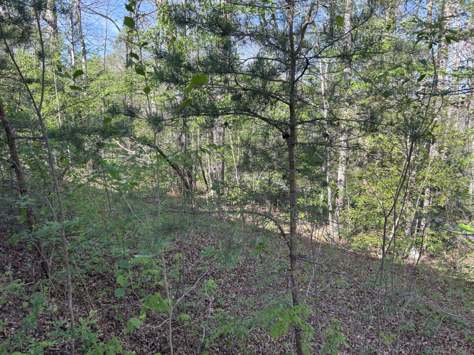 Listing Image 14