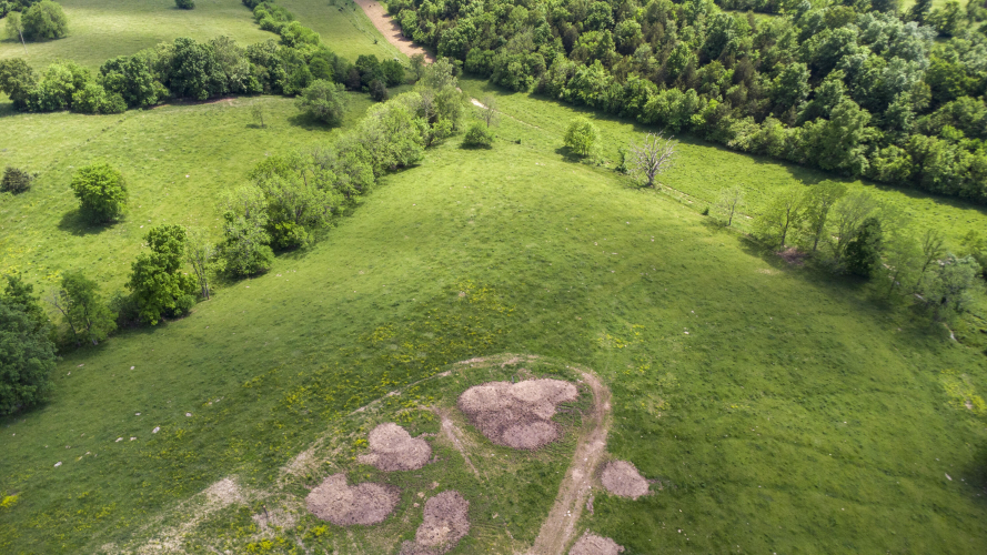 Listing Image 27
