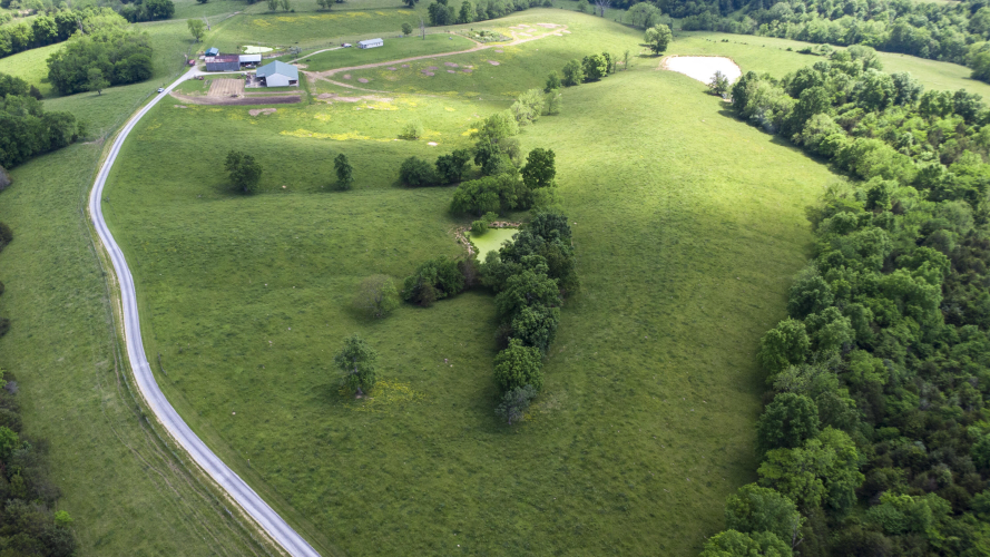 Listing Image 4