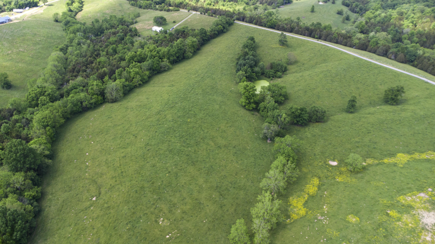 Listing Image 32
