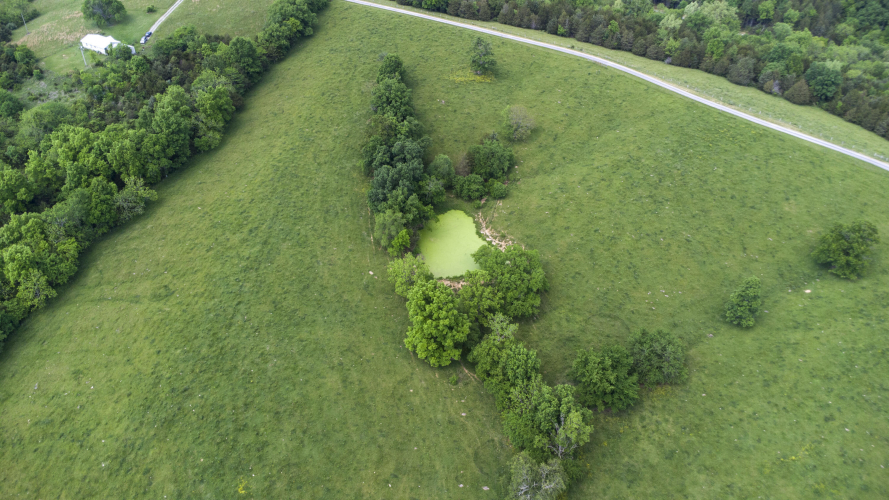 Listing Image 33