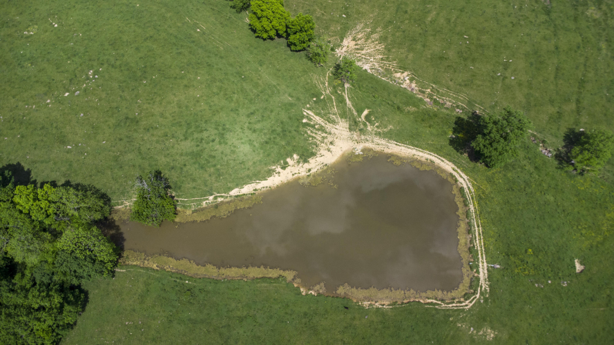 Listing Image 49