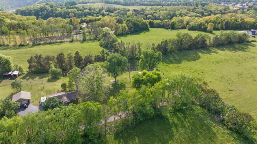 Listing Image 76
