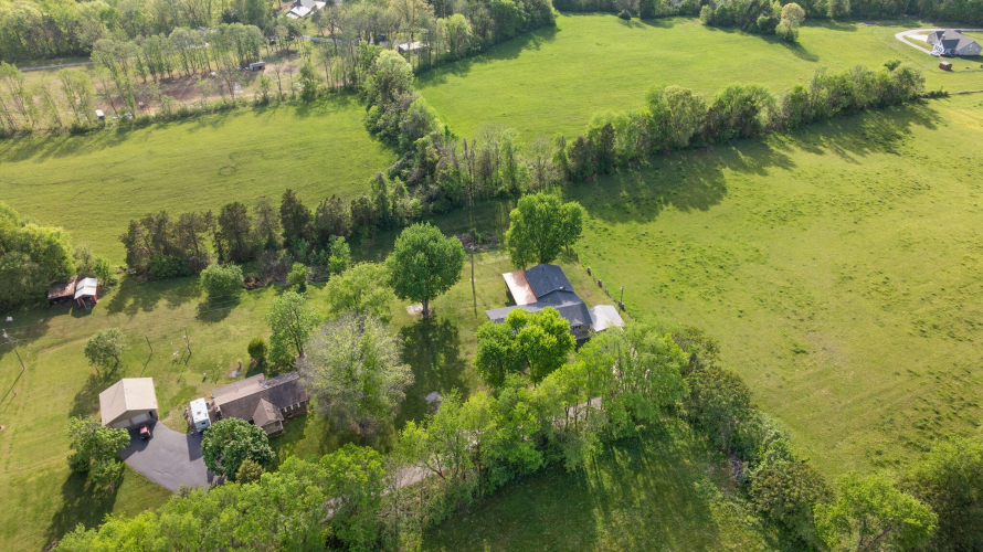 Listing Image 85
