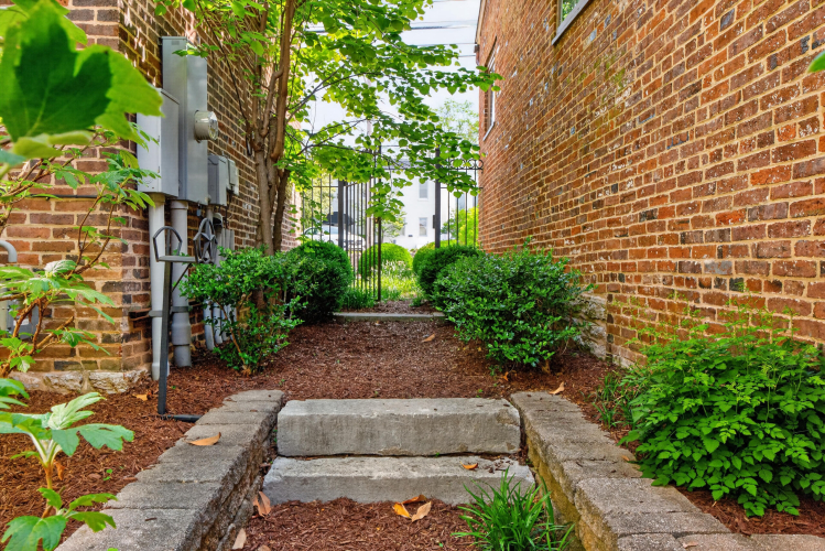 Listing Image 72