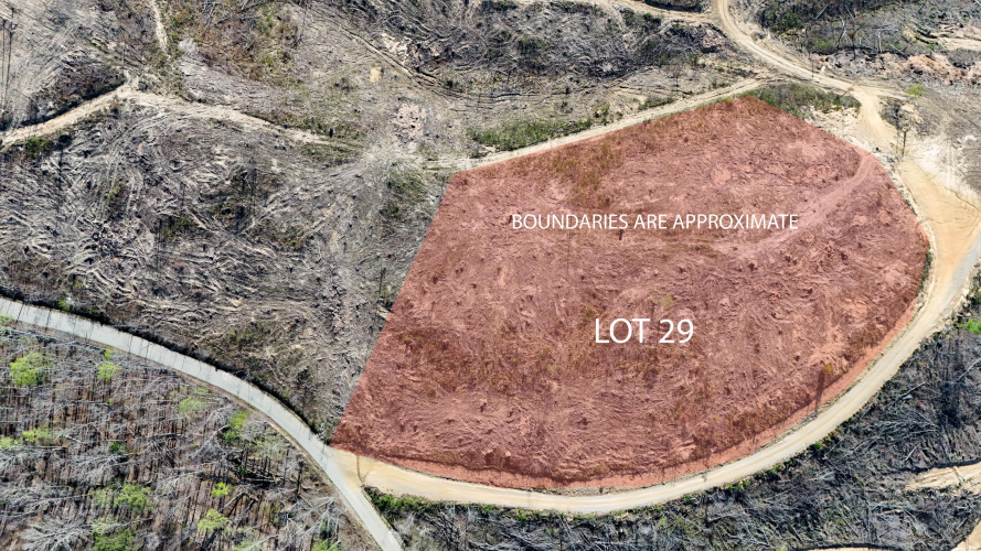 Listing Image 4