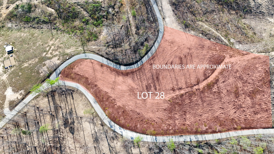 Listing Image 5