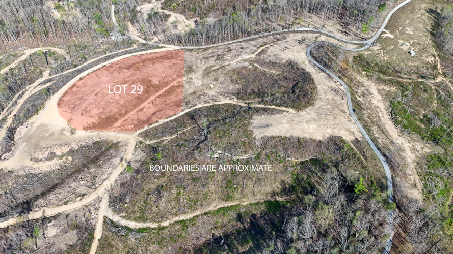 Listing Image 7