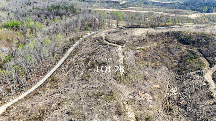 Listing Image 8