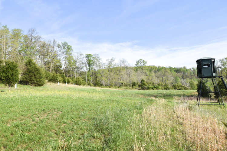 Listing Image 25