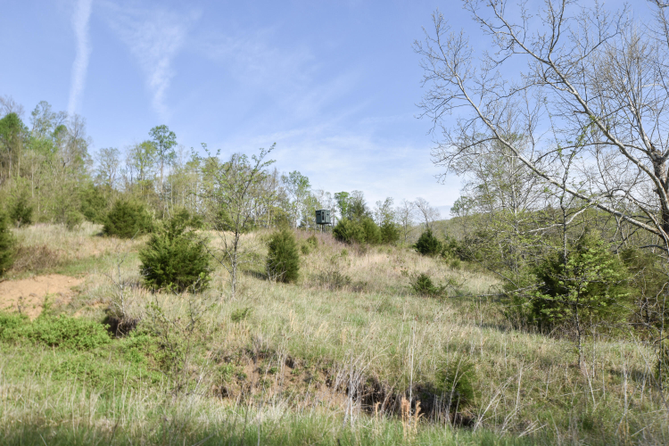 Listing Image 27