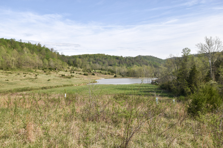 Listing Image 29