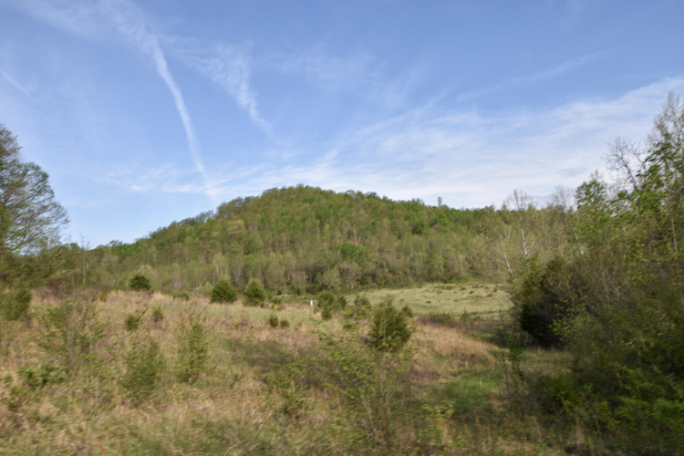 Listing Image 31
