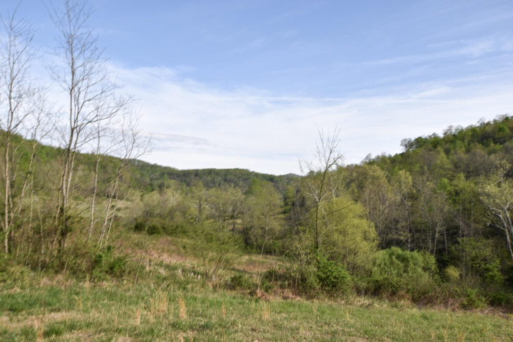 Listing Image 32
