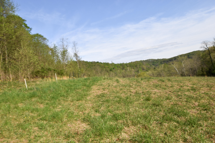 Listing Image 33