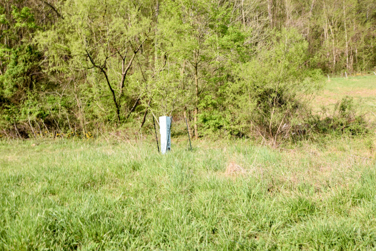 Listing Image 36