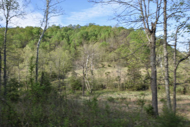 Listing Image 38