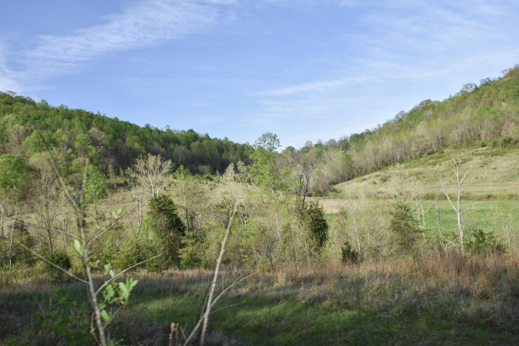 Listing Image 39