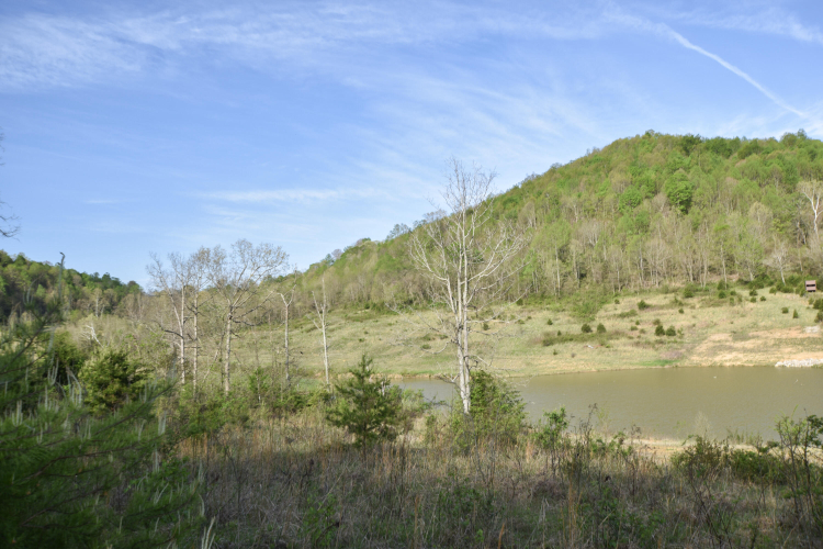 Listing Image 40