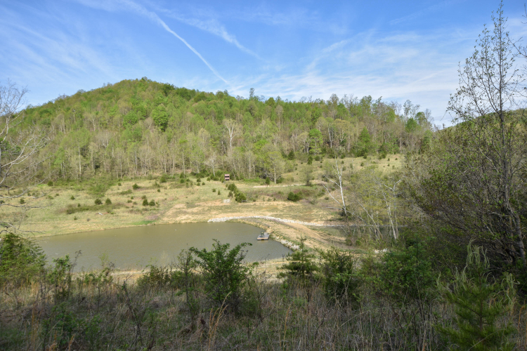 Listing Image 41