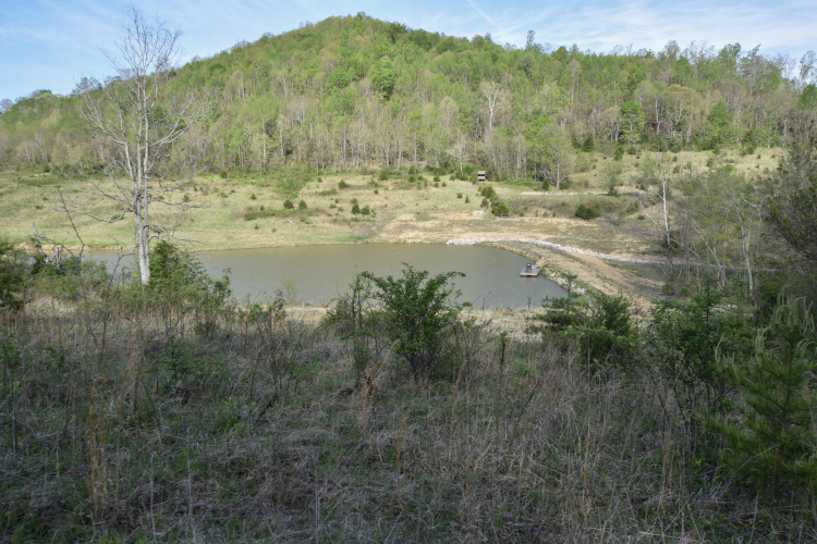 Listing Image 42