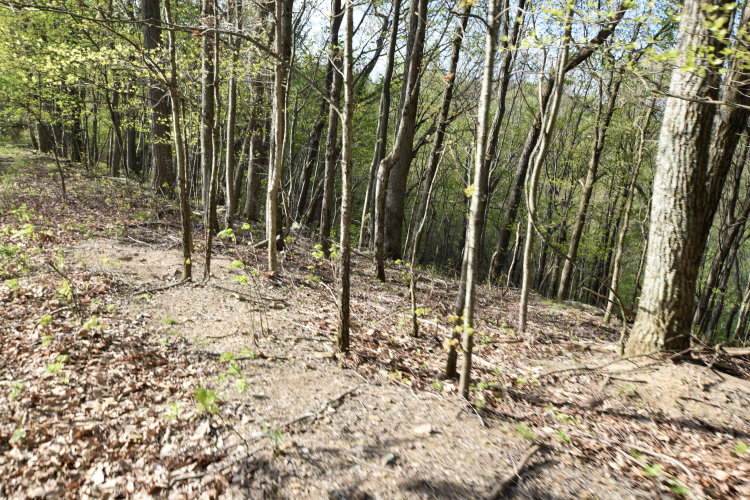 Listing Image 45