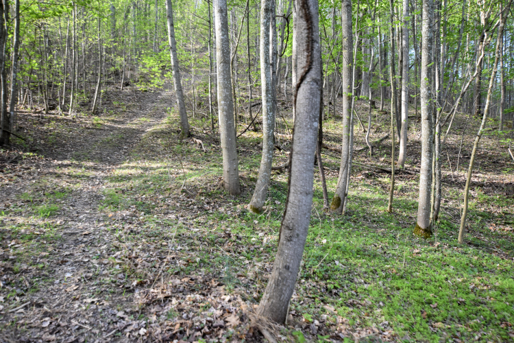Listing Image 58