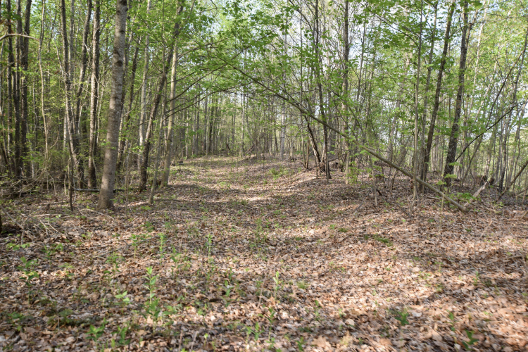 Listing Image 60