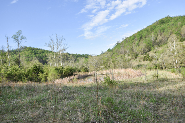 Listing Image 61