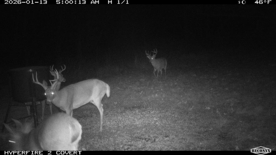 Listing Image 77
