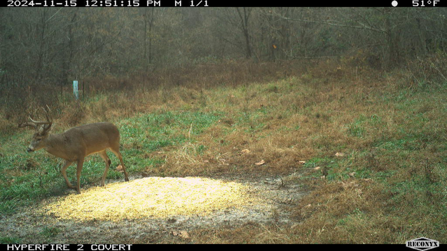 Listing Image 80
