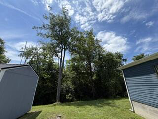 Listing Image 59