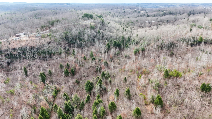 Listing Image 8