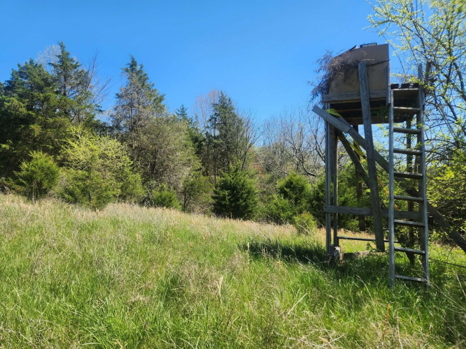 Listing Image 17