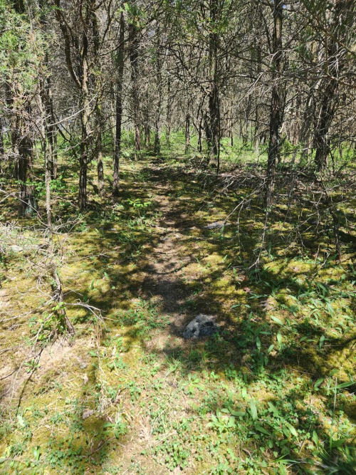 Listing Image 23
