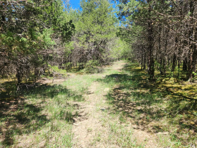 Listing Image 24