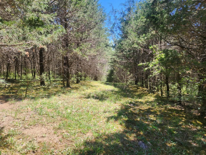 Listing Image 25