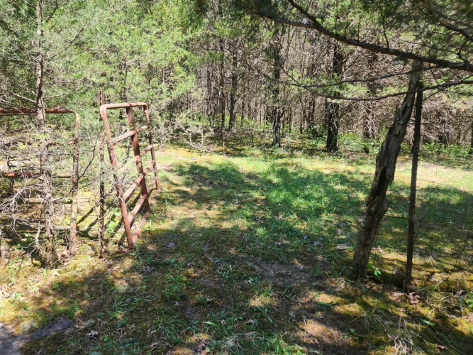 Listing Image 26