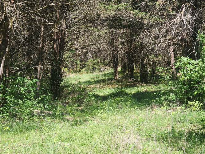 Listing Image 27