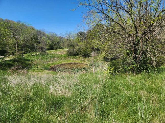 Listing Image 29