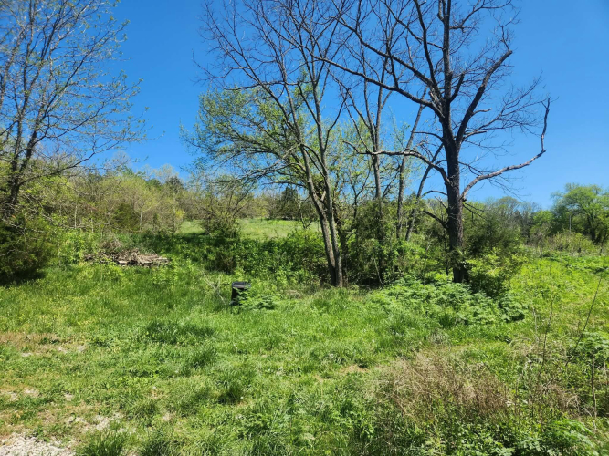 Listing Image 31
