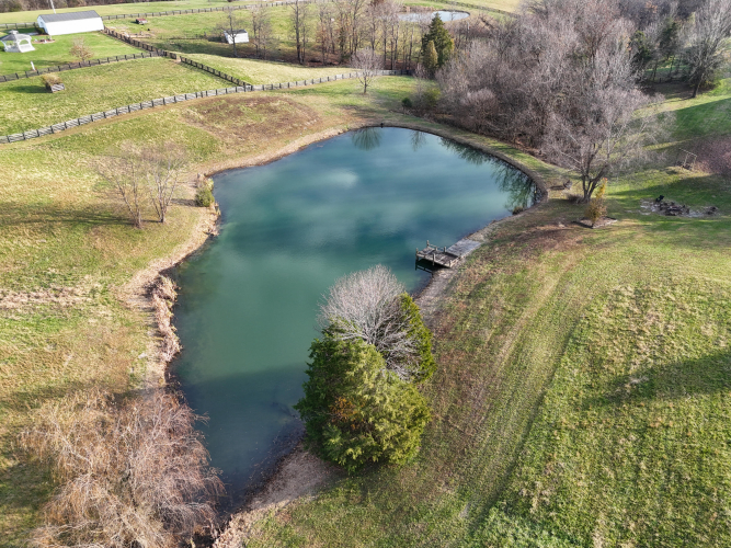 Listing Image 55