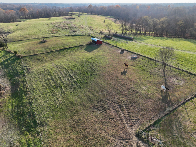 Listing Image 47