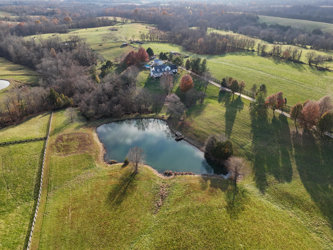 Listing Image 54