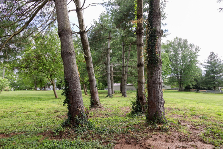 Listing Image 34