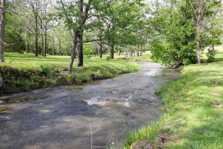 Listing Image 46