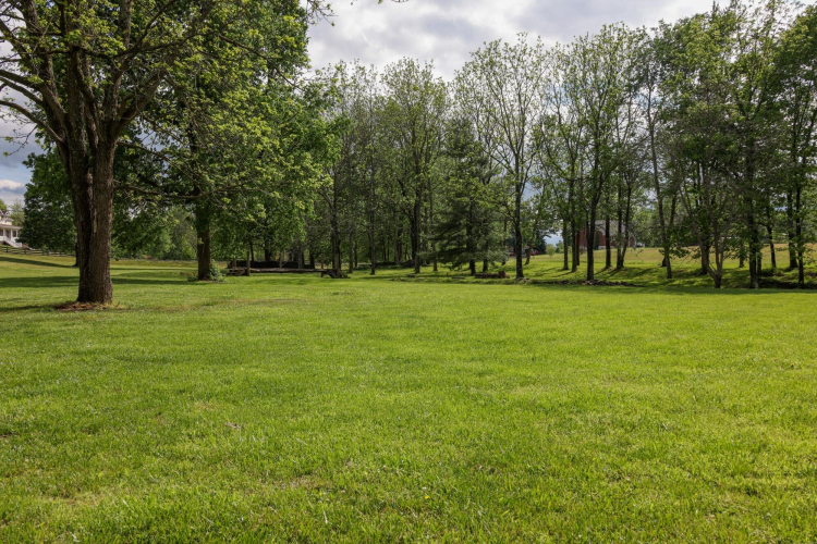 Listing Image 48