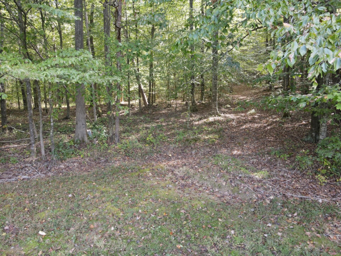 Listing Image 30